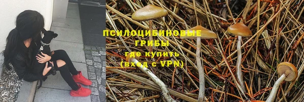 дурь Алексин
