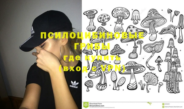 стафф Алексеевка
