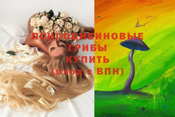 стафф Алексеевка