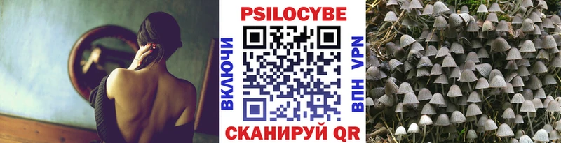 Псилоцибиновые грибы Cubensis  купить   shop телеграм  Дегтярск 